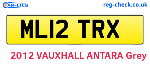 ML12TRX are the vehicle registration plates.