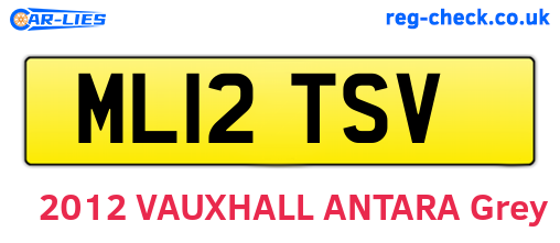 ML12TSV are the vehicle registration plates.