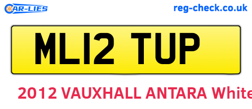 ML12TUP are the vehicle registration plates.