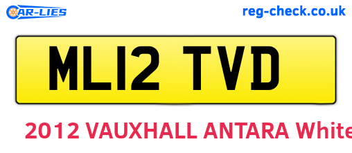 ML12TVD are the vehicle registration plates.