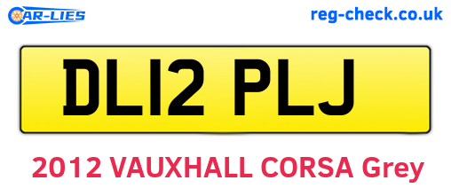 DL12PLJ are the vehicle registration plates.