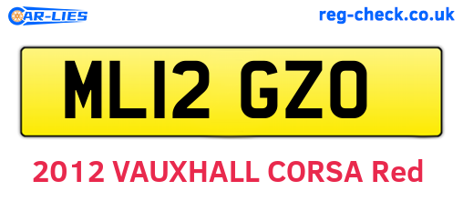 ML12GZO are the vehicle registration plates.
