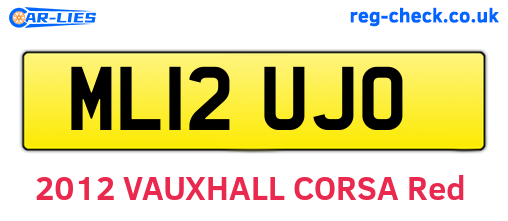 ML12UJO are the vehicle registration plates.