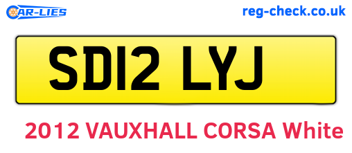 SD12LYJ are the vehicle registration plates.