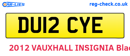 DU12CYE are the vehicle registration plates.
