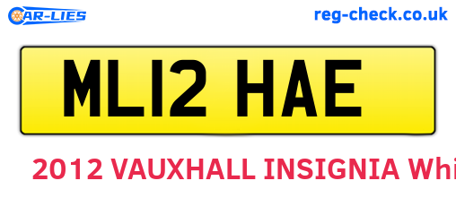 ML12HAE are the vehicle registration plates.