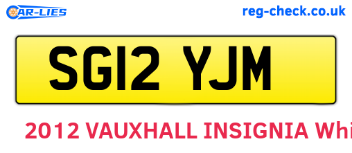 SG12YJM are the vehicle registration plates.