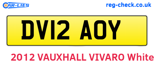 DV12AOY are the vehicle registration plates.