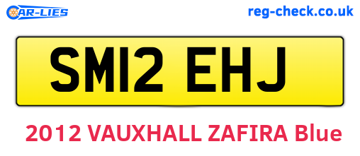 SM12EHJ are the vehicle registration plates.