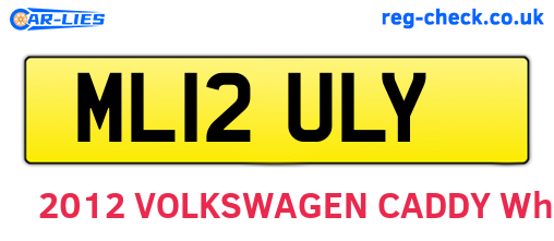 ML12ULY are the vehicle registration plates.