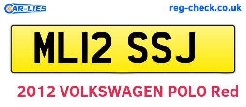 ML12SSJ are the vehicle registration plates.