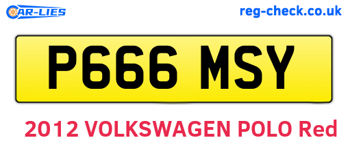 P666MSY are the vehicle registration plates.