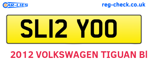 SL12YOO are the vehicle registration plates.