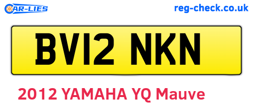 BV12NKN are the vehicle registration plates.