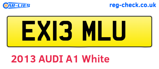 EX13MLU are the vehicle registration plates.