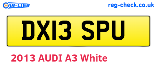 DX13SPU are the vehicle registration plates.
