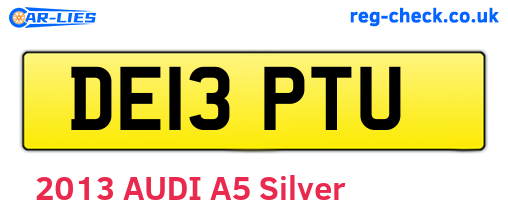 DE13PTU are the vehicle registration plates.