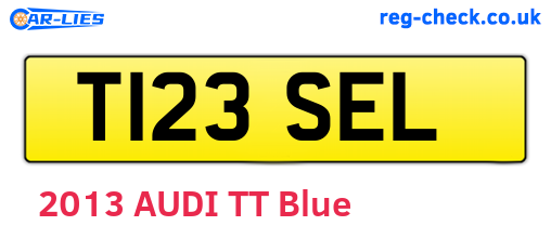 T123SEL are the vehicle registration plates.