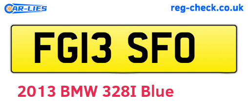 FG13SFO are the vehicle registration plates.