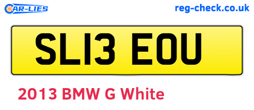 SL13EOU are the vehicle registration plates.