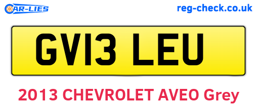 GV13LEU are the vehicle registration plates.