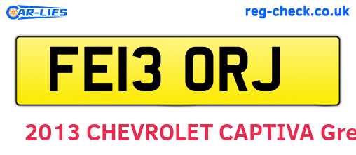 FE13ORJ are the vehicle registration plates.