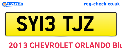 SY13TJZ are the vehicle registration plates.