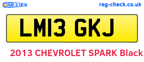 LM13GKJ are the vehicle registration plates.