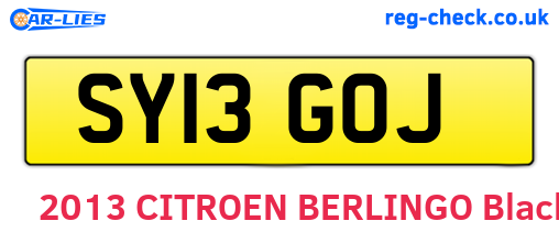 SY13GOJ are the vehicle registration plates.