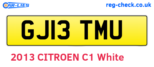GJ13TMU are the vehicle registration plates.