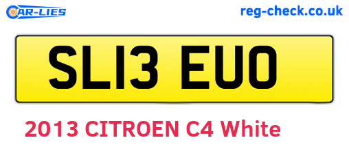 SL13EUO are the vehicle registration plates.