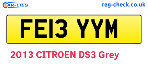 FE13YYM are the vehicle registration plates.