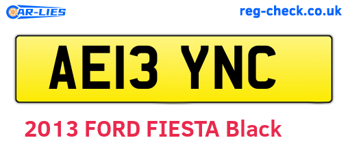 AE13YNC are the vehicle registration plates.