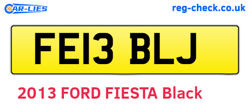 FE13BLJ are the vehicle registration plates.