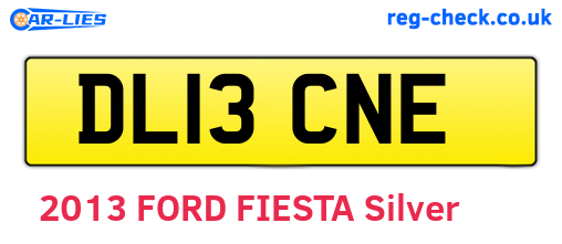 DL13CNE are the vehicle registration plates.