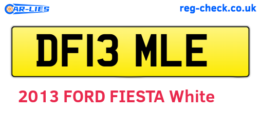DF13MLE are the vehicle registration plates.