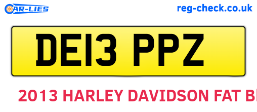 DE13PPZ are the vehicle registration plates.
