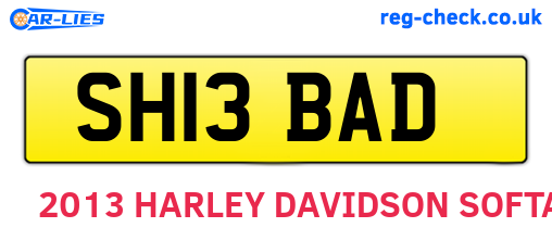 SH13BAD are the vehicle registration plates.