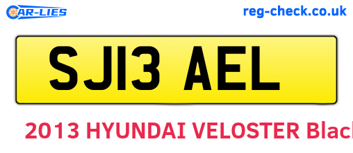 SJ13AEL are the vehicle registration plates.