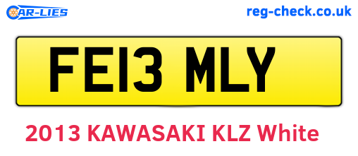 FE13MLY are the vehicle registration plates.