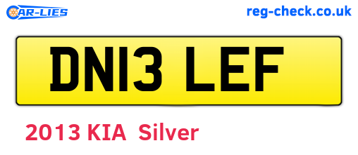 DN13LEF are the vehicle registration plates.