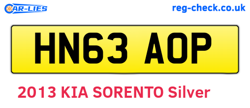 HN63AOP are the vehicle registration plates.