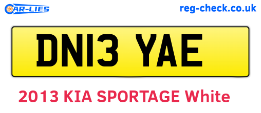 DN13YAE are the vehicle registration plates.