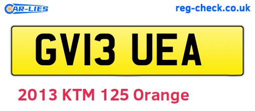 GV13UEA are the vehicle registration plates.