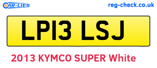 LP13LSJ are the vehicle registration plates.