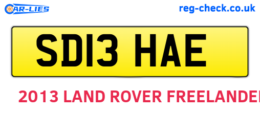 SD13HAE are the vehicle registration plates.