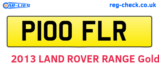 P100FLR are the vehicle registration plates.