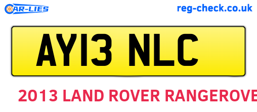AY13NLC are the vehicle registration plates.