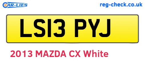 LS13PYJ are the vehicle registration plates.