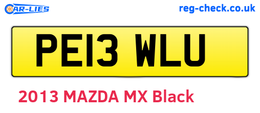 PE13WLU are the vehicle registration plates.